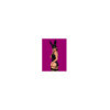 Bunny Costume 4 pcs - Noir